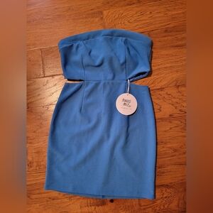 NWT Princess Polly Alaska Strapless Mini Dress Size 8 Blue